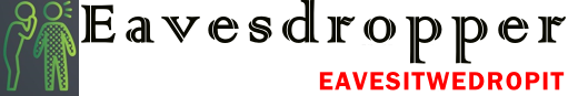 Eavesdropper online