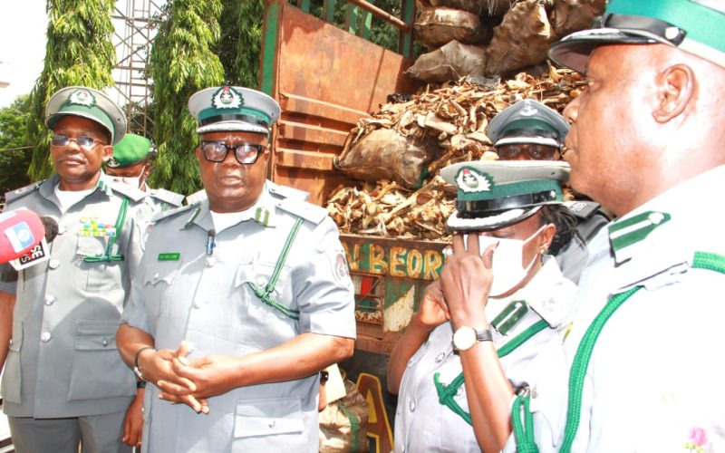 Customs ZONE ‘B’ Intercepts Endangered Species Worth N3Billon, Arrests Four Suspects